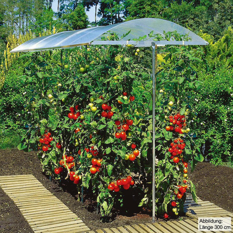 Tomatendach 1120 x 2000 mm höhenverstellbar