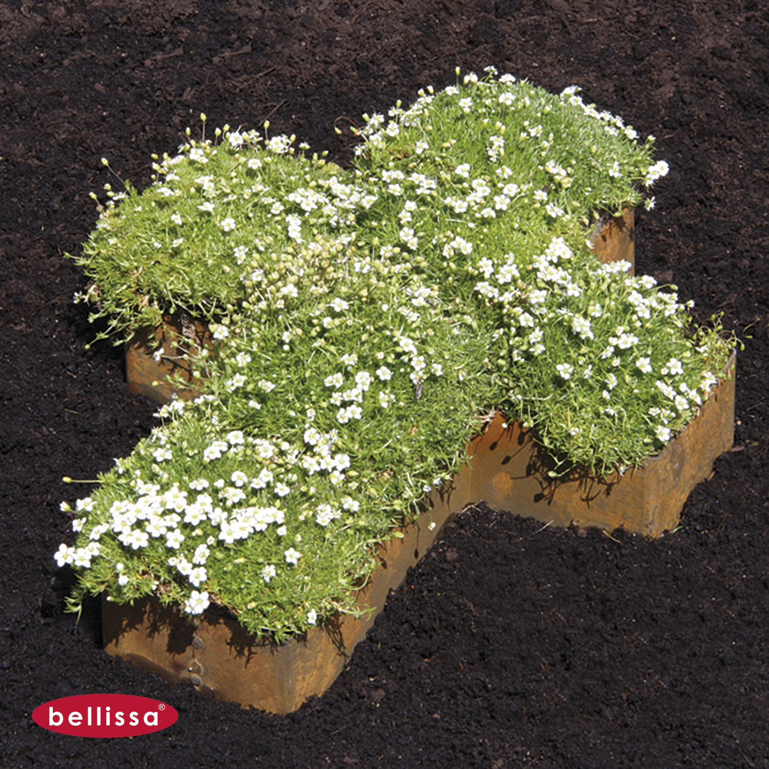 Pflanzschale Formkante Kreuz Corten-Stahl