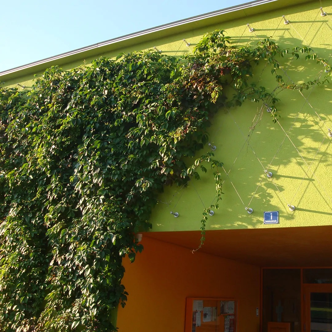 Rankanlage Grenncable® light