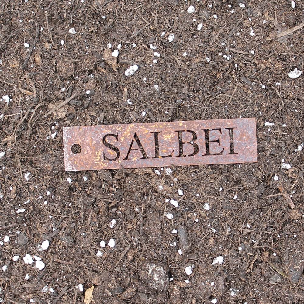 Rost Kräuterschild Salbei