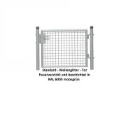 Standardtore 1-flgl. RAL 6005, ST