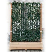 Hecke am laufenden Meter® 1200 x 1800 mm Holzkübel eur. Holz