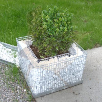 Gabionentopf 300 x 300 x 200 mm