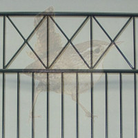 Höhe 1230 mm, Gittertyp Stella-SL, beschichtet