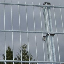 Pallas verzinkt Sicke w