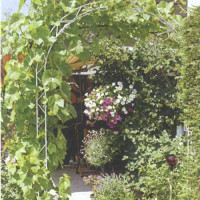 Rank-Rosenbogen Eva 1420 x 2630 mm