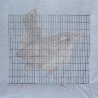 Columella Gitter 1978 x 1005 mm