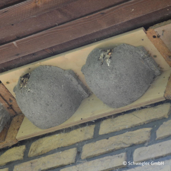 Niststelle Holzbeton für Mehlschwalben