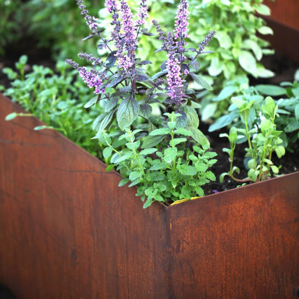 Hochbeet Edelrost Gartengestaltung erfahrung