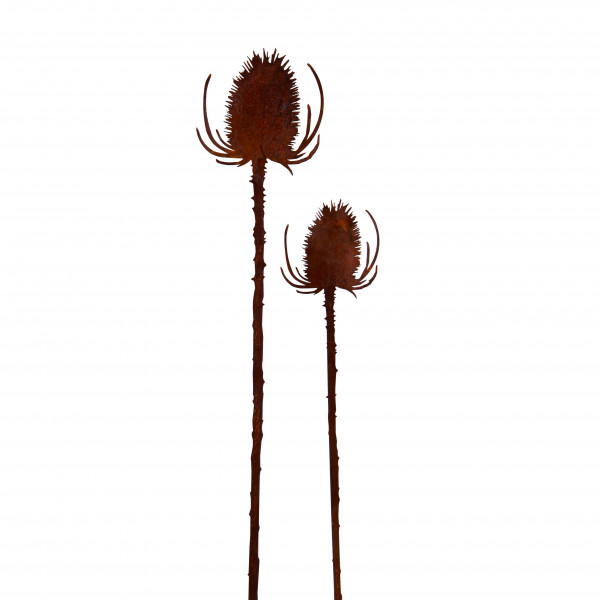 Edelrost Blumenstecker Distel Dekoration Garten
