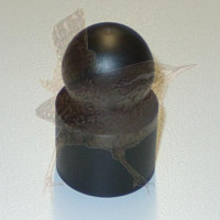 Abdeckkappe Ø 60 mm mit Kugel schwarz Kunststoff