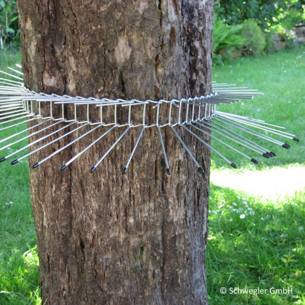 Katzenschutzgürtel für Bäume Metall