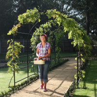 Pergola ROMAN - 2000 x 2700 mm Anbauelement - Länge 1030 mm