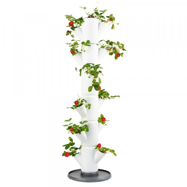 Sissi Strawberry Classic Erdbeerturm 6 Etagen weiß
