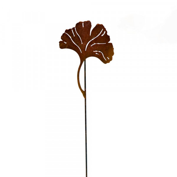 Beetstecker Ginkgo Blatt Lebensbaum Rost