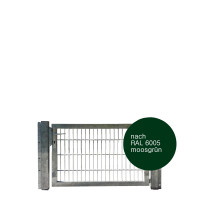 Toranlage 1-flgl. VARIO RAL 6005