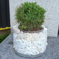 Gabionentopf Ø 660 x 500 mm
