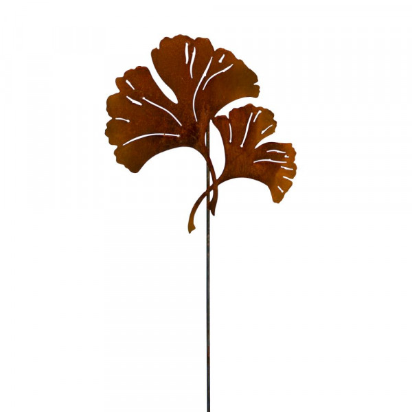 Beetstecker Ginkgo Blatt Lebensbaum Rost 2 Blätter