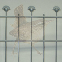 Höhe 1500 mm, Gittertyp Arte-Napoleon, verzinkt