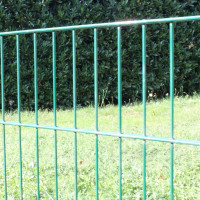 Gittertyp Doppelstab 6+5+6, 50x200 mm RAL6005 grün
