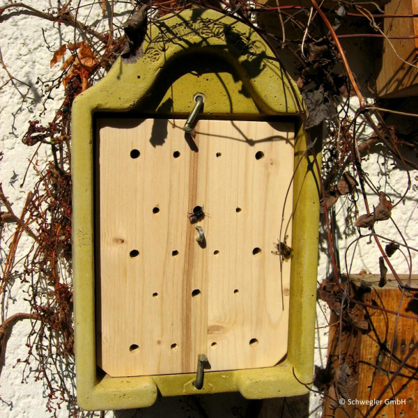 Insektennisthaus zur Beobachtung komplett