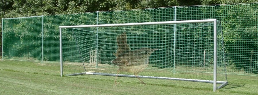Ballfangzaun aus prolypropylen an Aluminiumpfosten