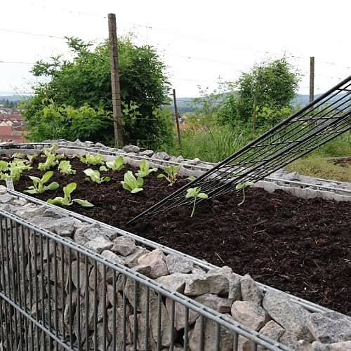 Hochbeet aus Doppelstabmatten selber bauen