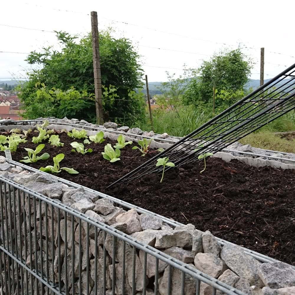 Gabionen Hochbeet aus Doppelstabmatten nach Maß selber bauen