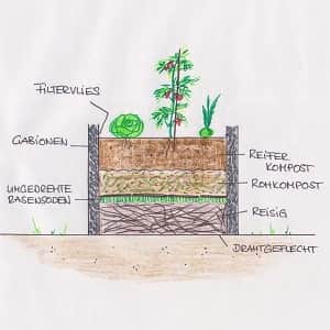 Gabionen für Hochbeet selber bauen