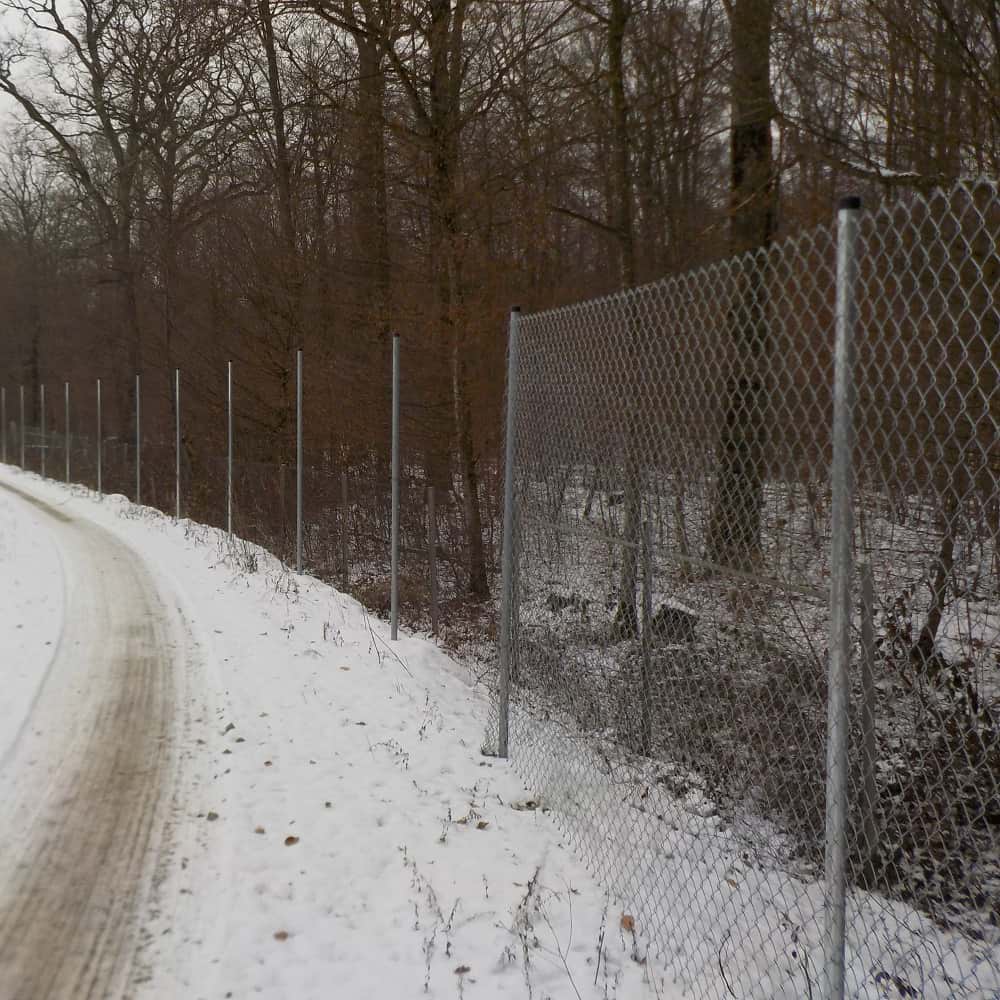 Verzinkten Maschendraht an Zaunpfosten aufbauen.