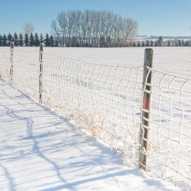 Forst- und Wildschutzzaun