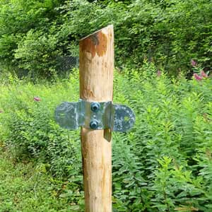 Lattenzaun aus dem Holz der Kastanie selber bauen