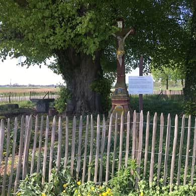 Holzzaun, das Naturprodukt aus Kastanienholz