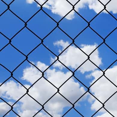 Maschendrahtzaun 50er Masche