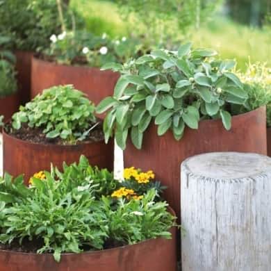 Pflanzringe, Hochbeet, Hochgarten aus Edelrost