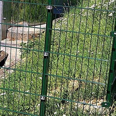 Stabgitterzaun hochwertig feuerverzinkt und zusätzlich pulverbeschichtet in RAL 6005 Moosgrün