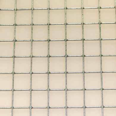 Verbissschutz mit Volierendraht